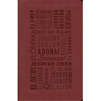 Names of God Bible (NIV) – Experience the Power and Meaning of God's Hebrew Names in Scripture