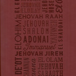 Names of God Bible (NIV)