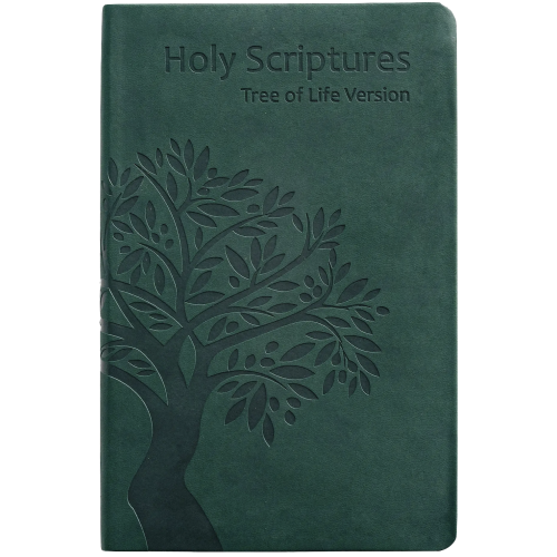 HOLY SCRIPTURES THINLINE EDITION (TLV)