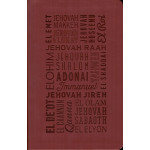 NAMES OF GOD BIBLE (NIV)