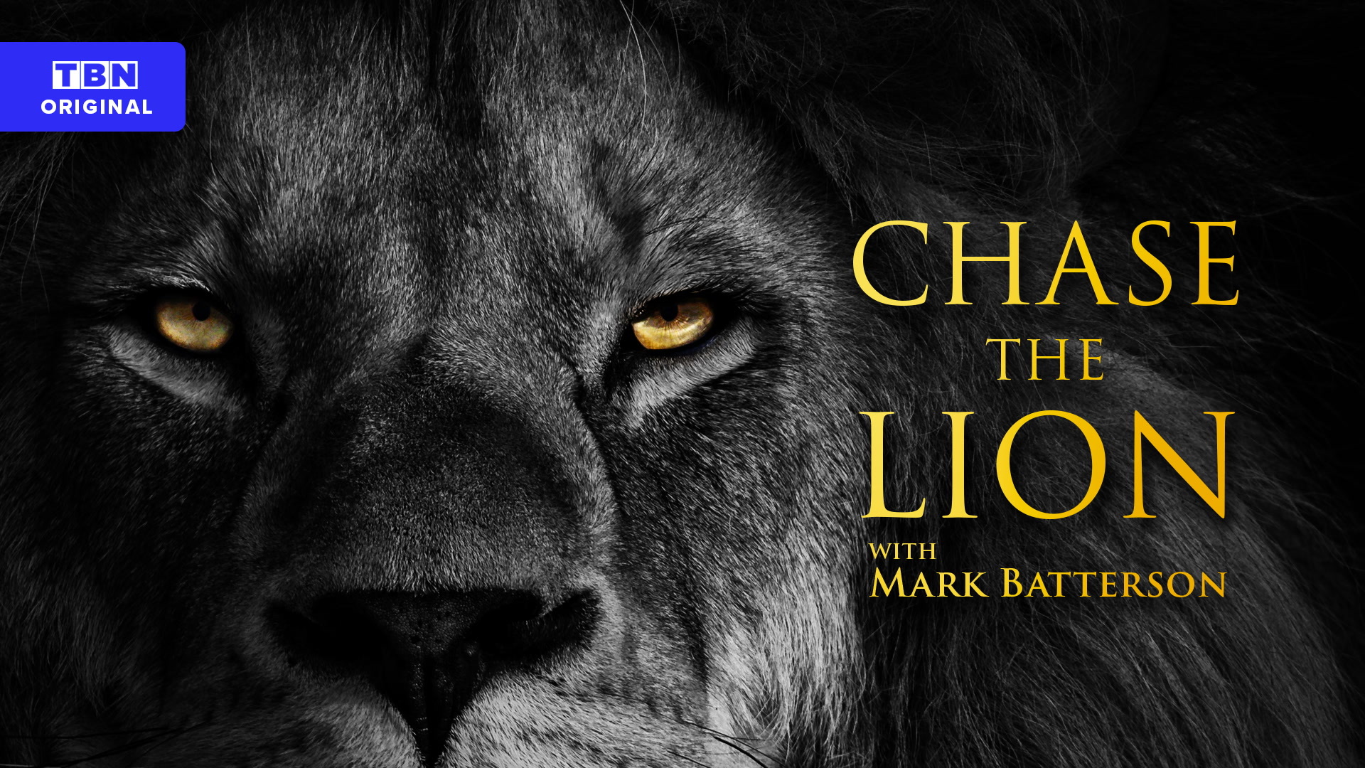 chase_the_lion.jpeg
